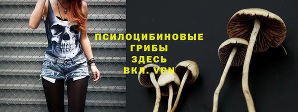 ПСИЛОЦИБИНОВЫЕ ГРИБЫ Богородицк