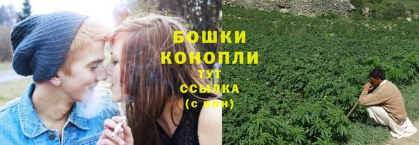 бошки Богданович