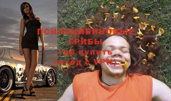 бошки Богданович