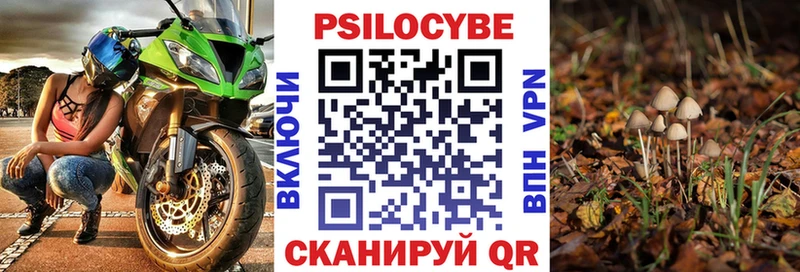 Галлюциногенные грибы прущие грибы  Спас-Деменск 